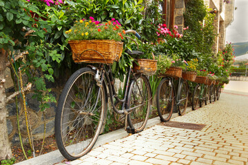 old bicycles lined up to hold flower baskets. Decor. Yard.