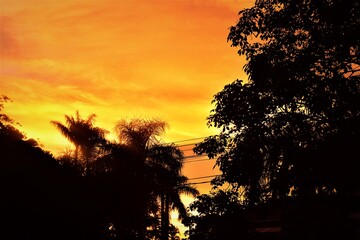 atardecer