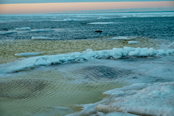 icy beach on the background of the sunset