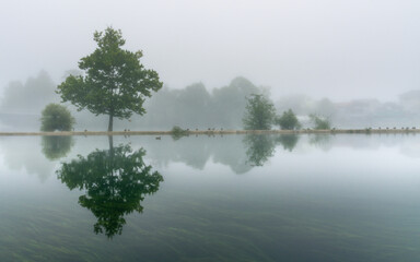 morning on the foggy river