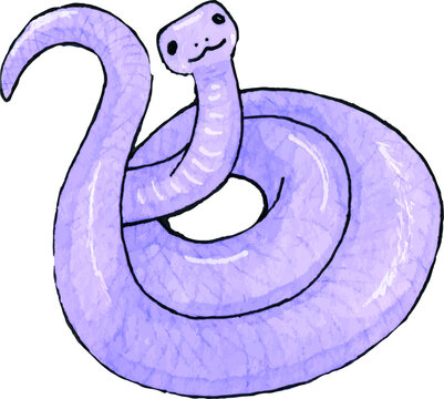 Purple Snake Purple Snake