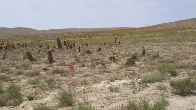 Tombstones and obelisks in the prehistoric cemetery.Anthropomorphic kurgan stone stelae statue menhirs steles ancient monument.Menhir orthostat lith old bronze age megalith Stele mass graveyard grave 
