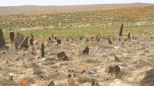 Tombstones and obelisks in the prehistoric cemetery.Anthropomorphic kurgan stone stelae statue menhirs steles ancient monument.Menhir orthostat lith old bronze age megalith Stele mass graveyard grave 