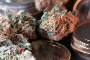 Weed Buds on top of Euro coins. Money and Drugs. Cannabis dried flowers with Money from European Union
