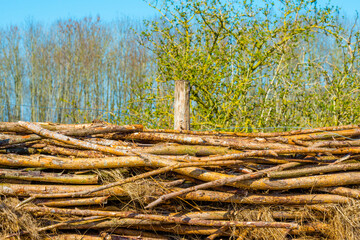 Wooden fence of braided branches in a field in wetland in a blue sky in springtime, Almere,...
