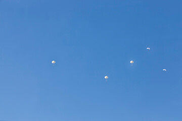 skydivers descending in the blue sky