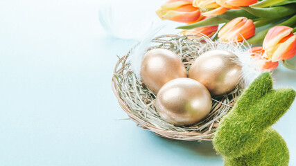 Easter eggs basket. Golden egg in basket with spring tulips, white feathers on pastel blue background in Happy Easter decoration. Traditional decoration in sun light.