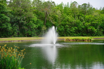 Naklejka premium A small pond in a community of Florida