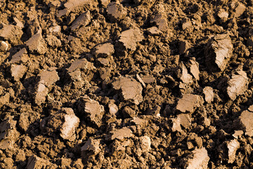 close up photo of sand and soil
