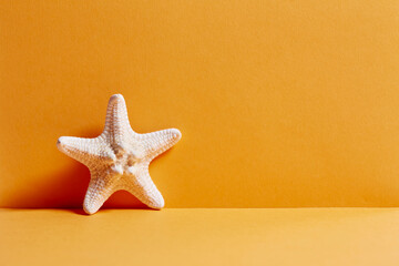Fototapeta na wymiar sea starfish on orange background