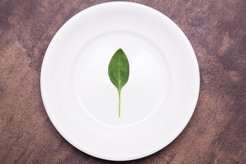Single one spinach green leaf on white plate close up. Diet, fasting, vegan, vegetarian, healthy food concept - Powered by Adobe