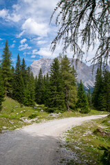 Fototapeta premium hiking path in the mountains (Ehrwald, Tyrol, Austria)