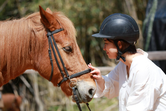 	馬をなでる女性　乗馬イメージ