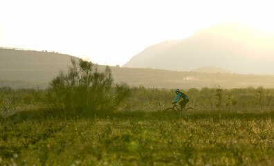 Fototapeta na wymiar Cyclist at sunset in the vineyard and mountain area with his bike.