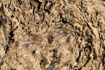 dry manure that is used to fertilize the territory of a rural field