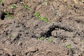Spring soil texture. Soil layer on the field. Natural background.