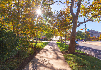 Fototapeta premium Beautiful walkway leading to a recreational park within the city center of Philadelphia Pennsylvania