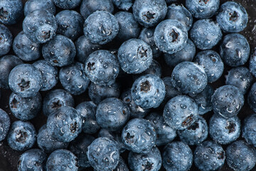 Water drops on ripe sweet blueberry. Fresh blueberries background