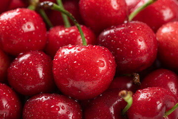 Cherry berries fruit in a plate on  white background.Close-up. 