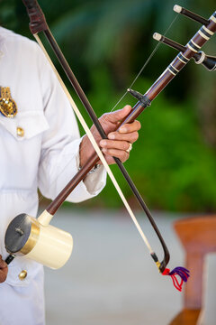 Musician playing a Tro at a Cambodian Wedding Ceremony