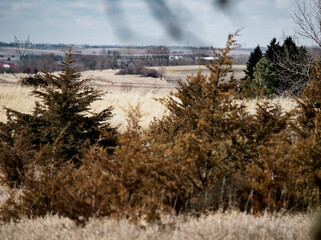 landscape in the mountains