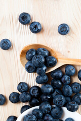 blueberries can be used in cooking, harvested wild blueberries