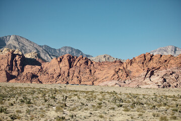 landscape in the desert