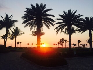 Obraz premium Beach Sunset