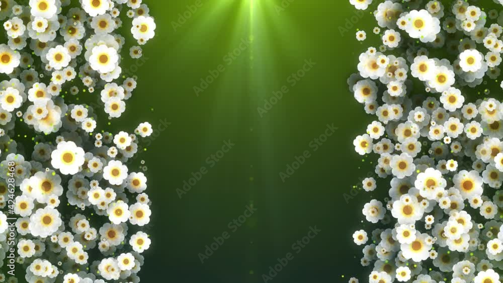 Poster seamless loop green light beam border space for text with white blooming flowers flying on left and 