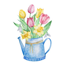 Watercolor painting spring flowers, blue watering can with tulips