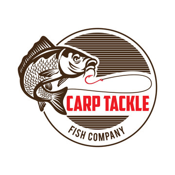 Carp fishing logo, perfect for fish supplier company and brand product logo and t shirt design