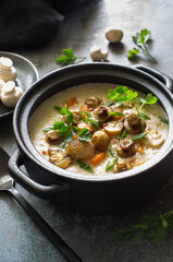 Pot of mushrooms and cheese cream-soup