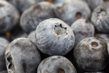 ripe juicy and tasty blueberries