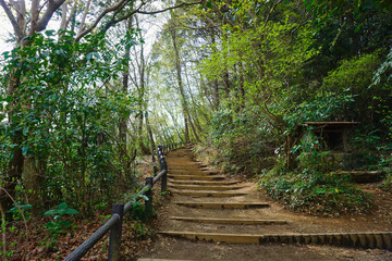 Fototapeta premium 登山道 稲荷山コースの階段 高尾山