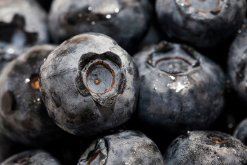 fresh ripe blueberries with vitamins, harvested, close up