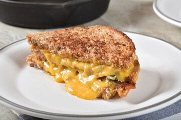 Homemade grilled cheese sandwich