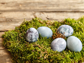 Painted chicken eggs in green moss on brown wooden table