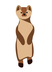 vector sable standing on its hind legs.