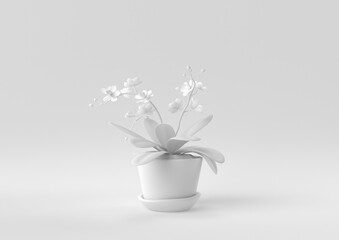 White Tree pot in white background. minimal concept idea creative. monochrome. 3D render.