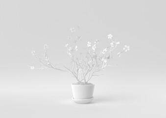 White Tree pot in white background. minimal concept idea creative. monochrome. 3D render.