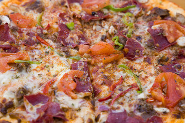 A delicious hot Italian pizza