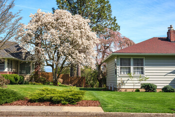 Neighborhood homes and gardens in Grsham Oregon.