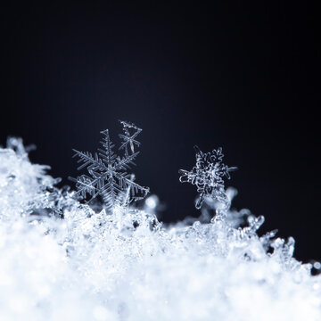 snapshot of a small snowflake taken during a snowfall