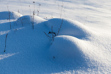 hummocks in the swamp large drifts after snowfalls and blizzards