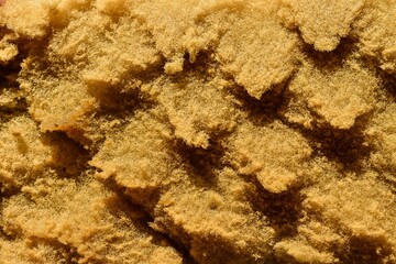 sponge texture background