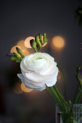 Beautiful bouquet with spring ranunculus and freesias