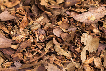 tobacco from cigarettes