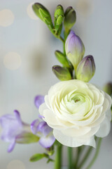 Beautiful bouquet with spring ranunculus and freesias