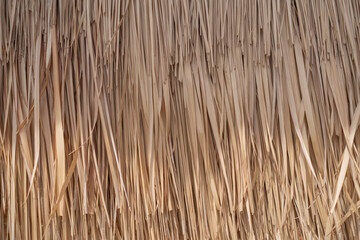 Dry palm tree wall in tropical construction. Dry old palm leaves, background texture.