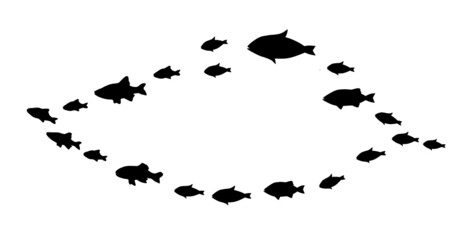 Silhouettes of groups of fishes on white